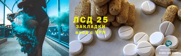 PSILOCYBIN Белоозёрский