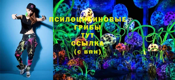 2c-b Рославль