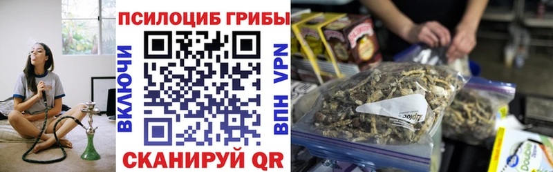 Галлюциногенные грибы MAGIC MUSHROOMS  где купить наркотик  Ворсма 